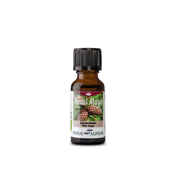 Bio-Latschenkieferöl, 100 % naturrein 20 ml