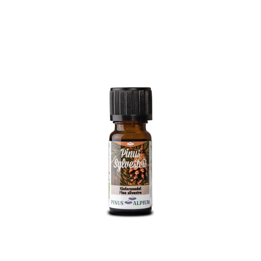 Kiefernnadelöl Pinus Sylvestris 10 ml