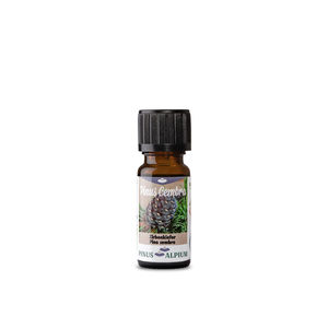 Zirbenöl 10 ml – naturrein